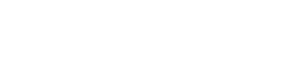 Logo Malavasi